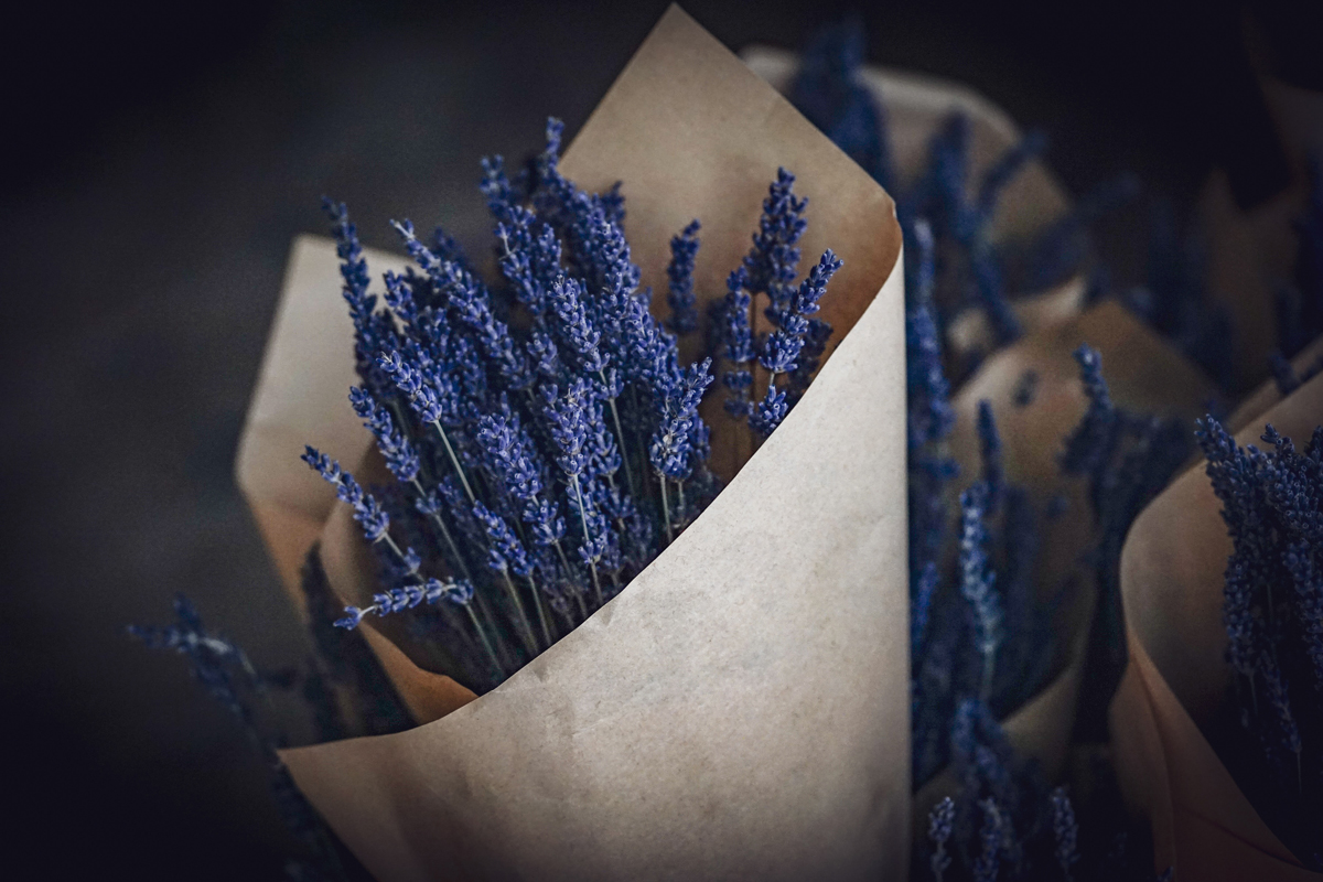 Packaging sostenibile, green