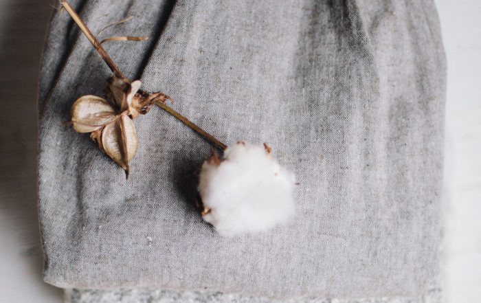 tessuto cotone organico