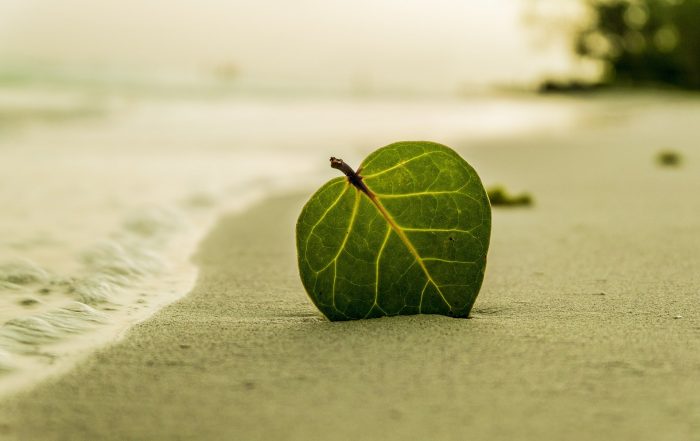 Spiaggia sostenibile