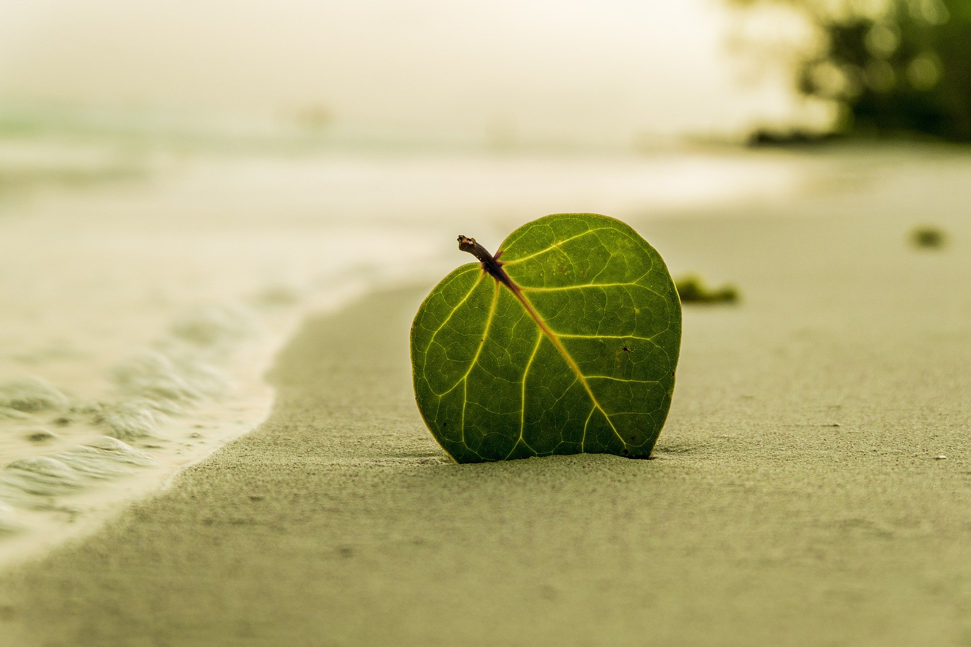 spiaggegreen Spiaggia sostenibile