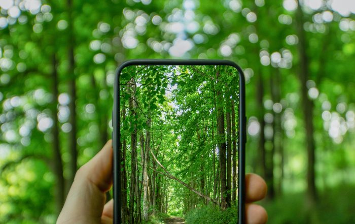 Green smartphone