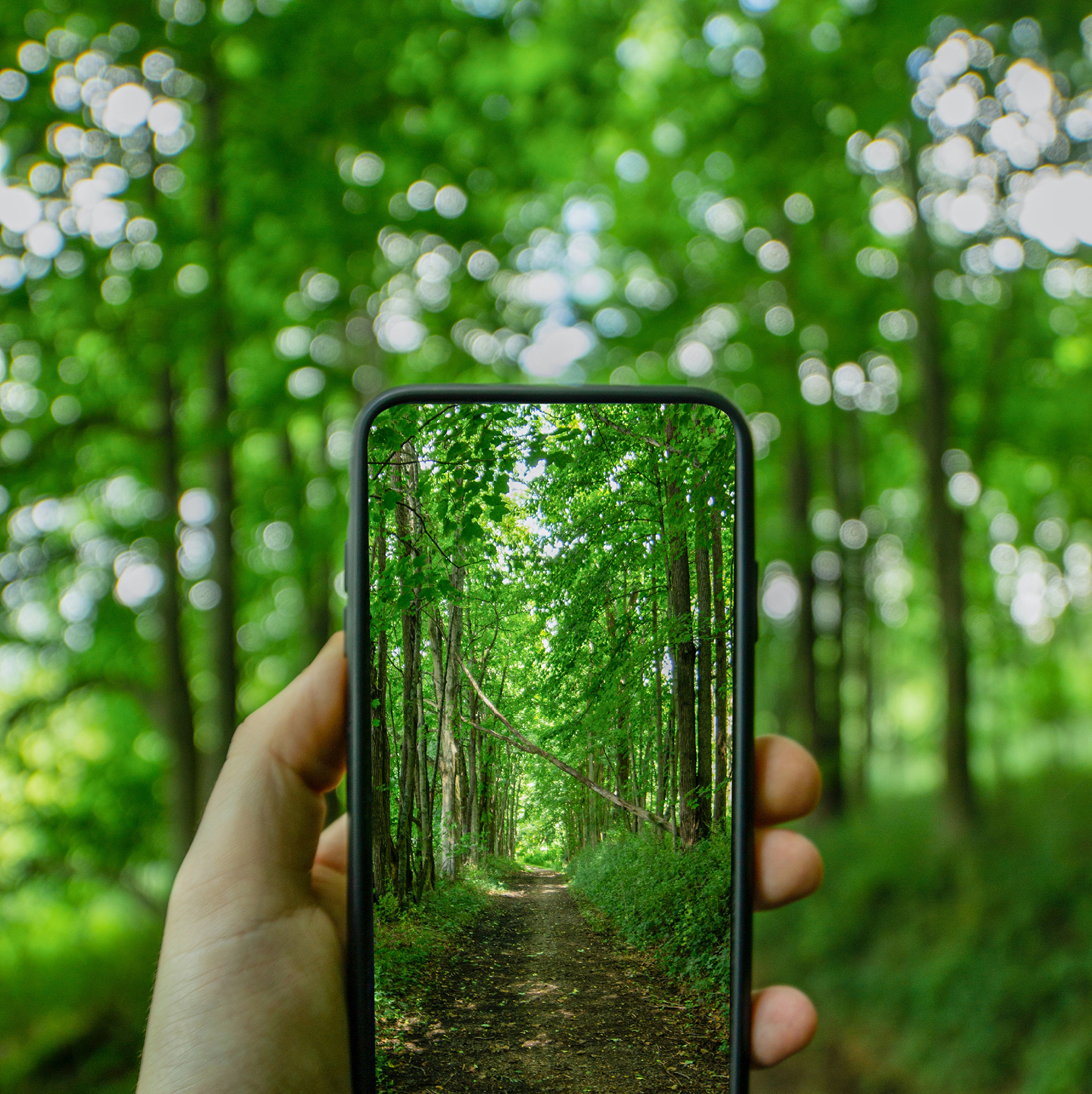 eco-smartphone Green smartphone