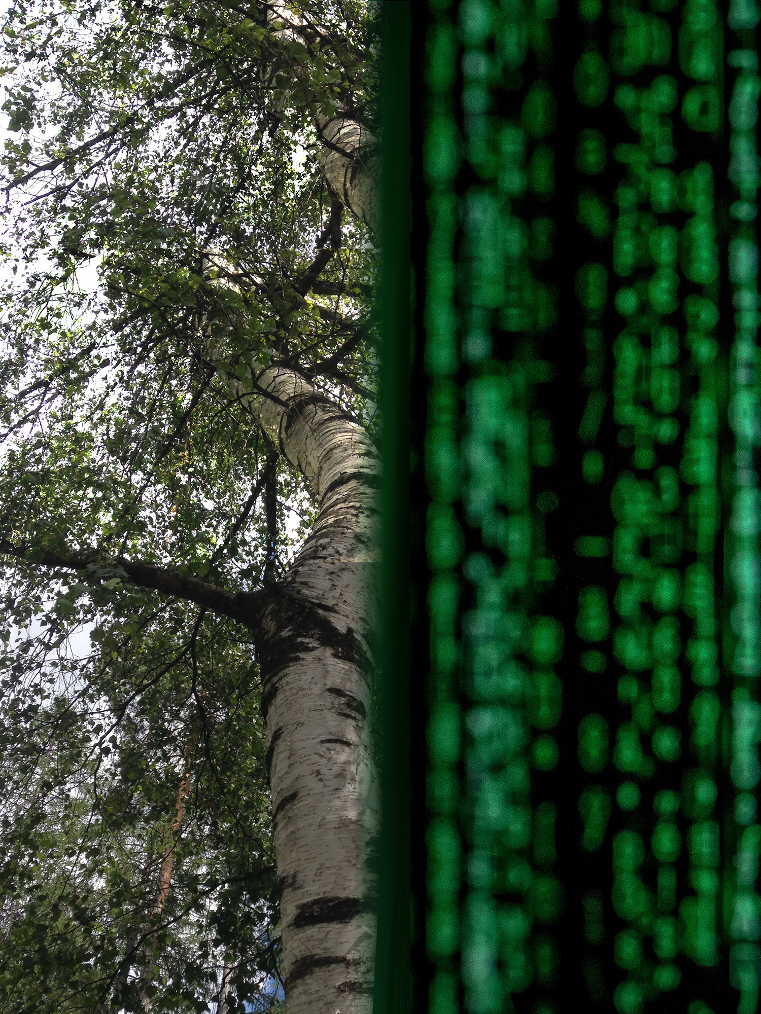 impronta digitale